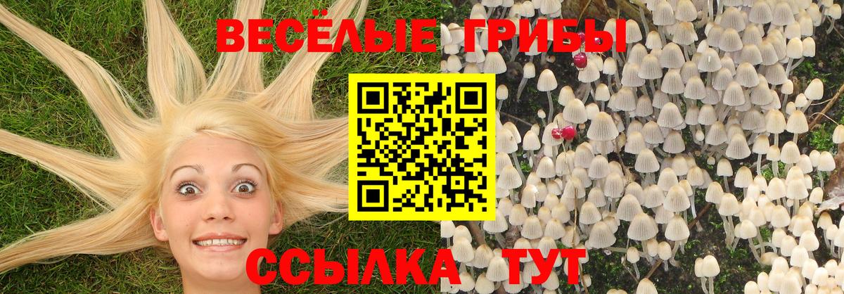 Клин  Псилоцибиновые грибы Magic Shrooms  Вход с VPN  Галлюциногенные грибы мухоморы 